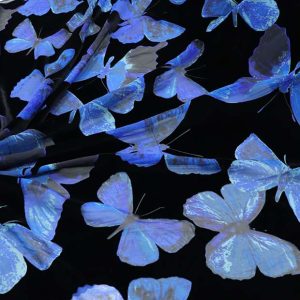 Butterfly Print Velvet Fabric – Printed Velvet Textile Wholesale | Yunfan Textile