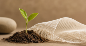 Green sprout beside draped biodegradable mesh fabric symbolizing eco-embroidery